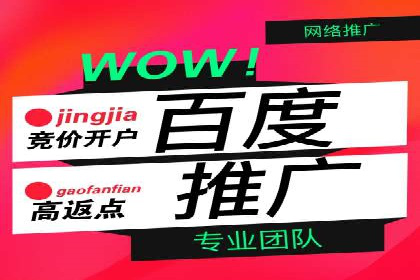 案例分享：百度推广代理助力企业增长